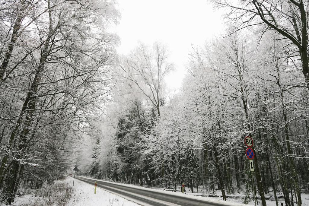 Penzion Cztery Pory Roku Białowieża Exteriér fotografie