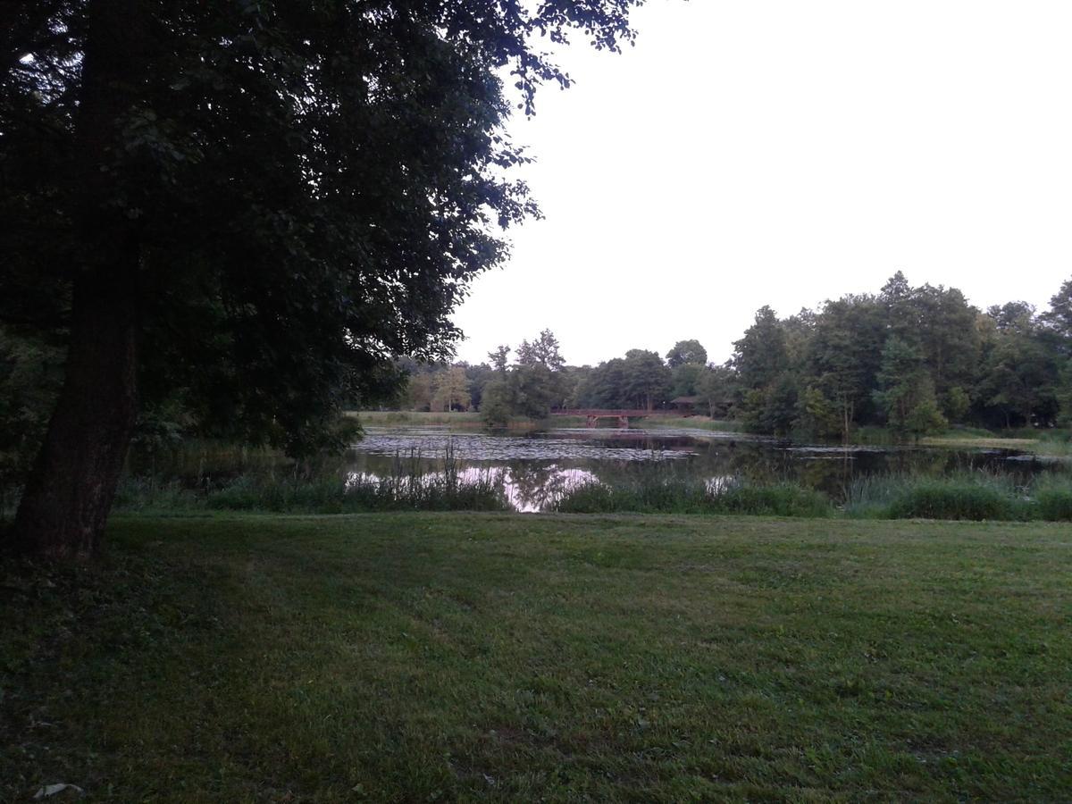 Penzion Cztery Pory Roku Białowieża Exteriér fotografie