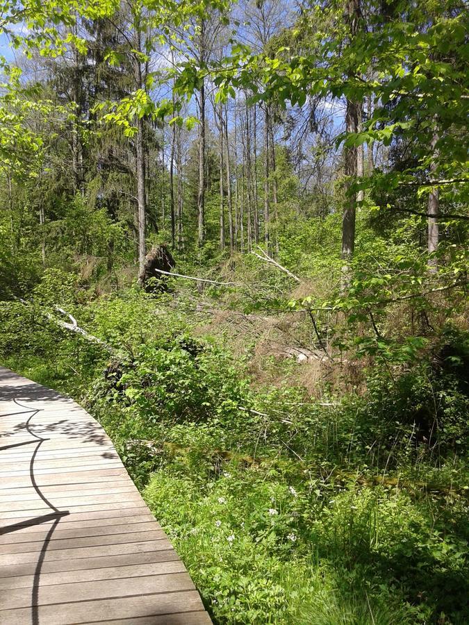 Penzion Cztery Pory Roku Białowieża Exteriér fotografie