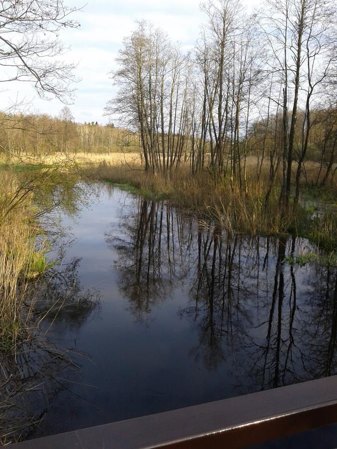 Penzion Cztery Pory Roku Białowieża Exteriér fotografie