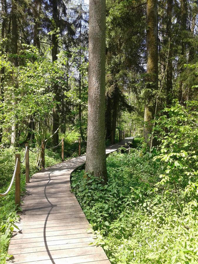 Penzion Cztery Pory Roku Białowieża Exteriér fotografie