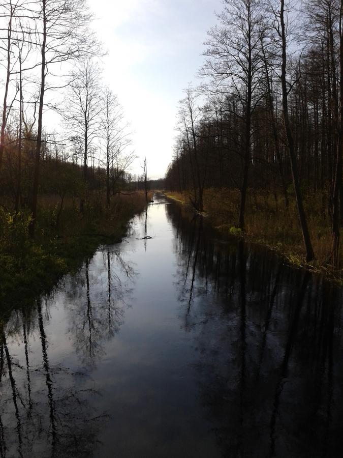 Penzion Cztery Pory Roku Białowieża Exteriér fotografie