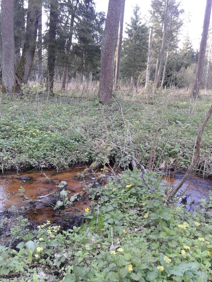 Penzion Cztery Pory Roku Białowieża Exteriér fotografie